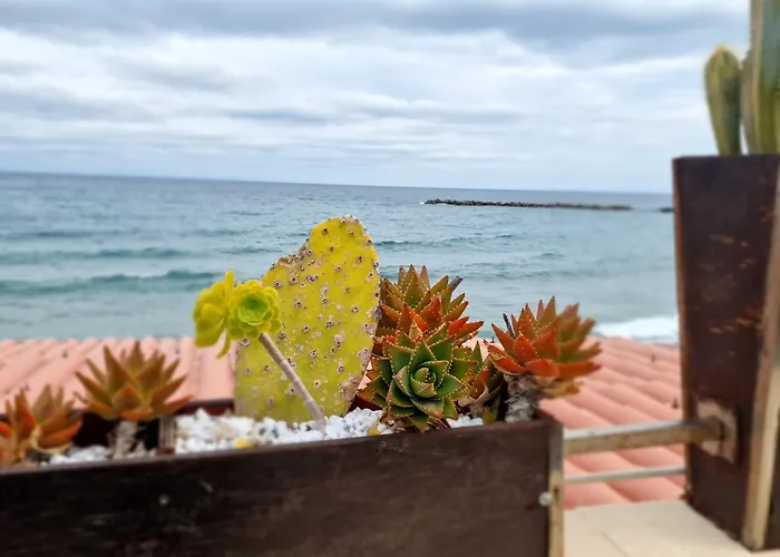 Hopehouse 公寓 圣雷默